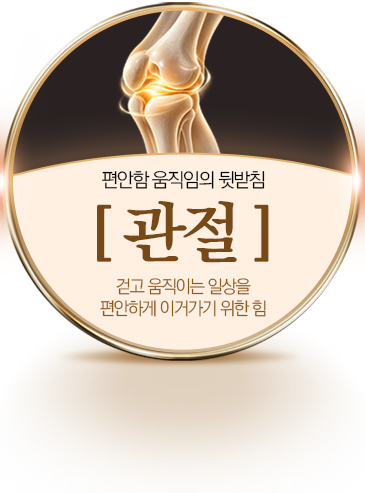 관절
