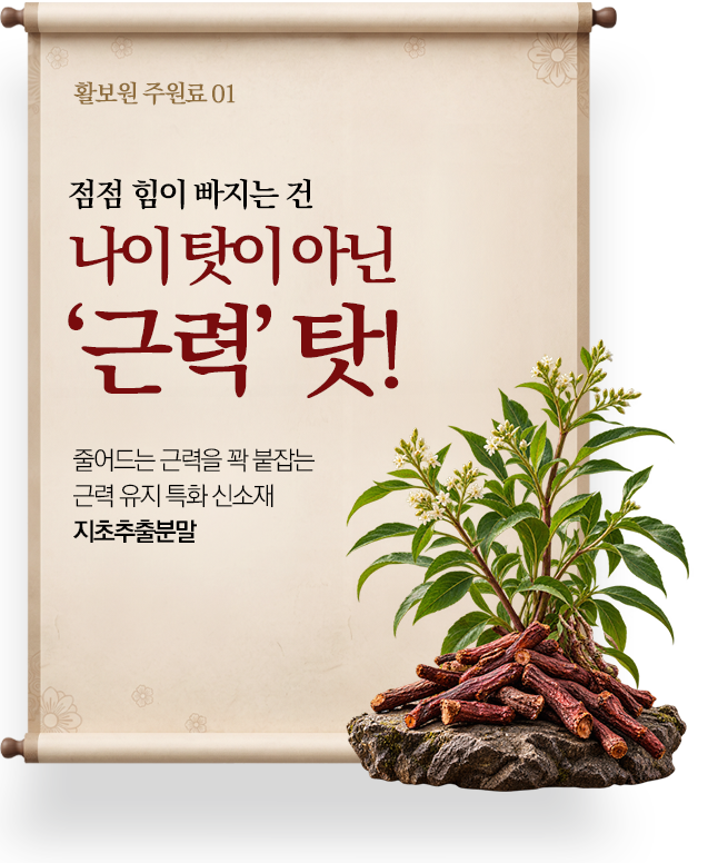 힘이빠지는건 나이탓이 아닌 근력탓!